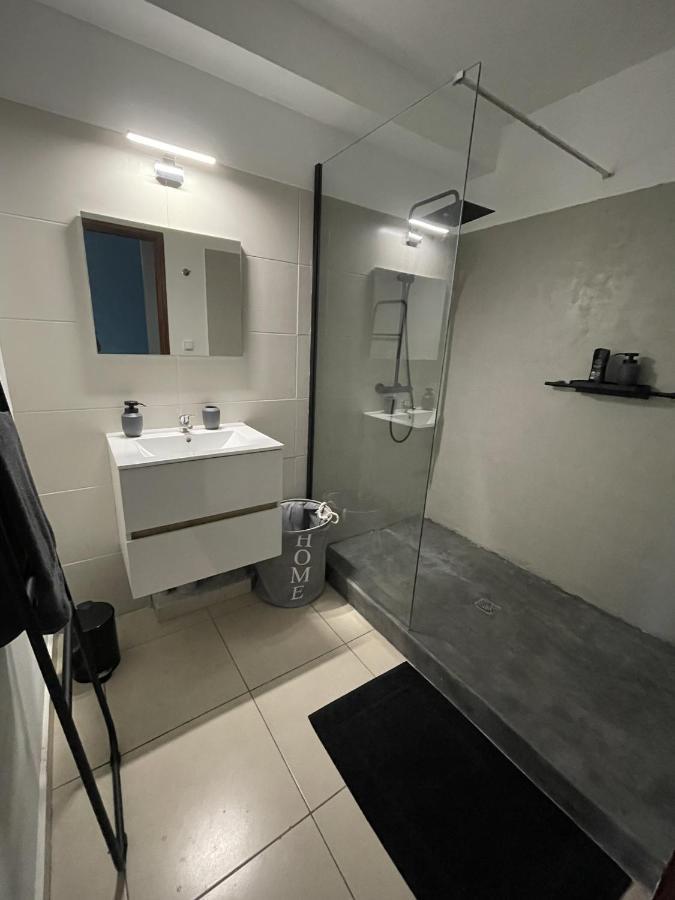 Апартаменты Loft Dionysien De Standing Сен-Дени Экстерьер фото